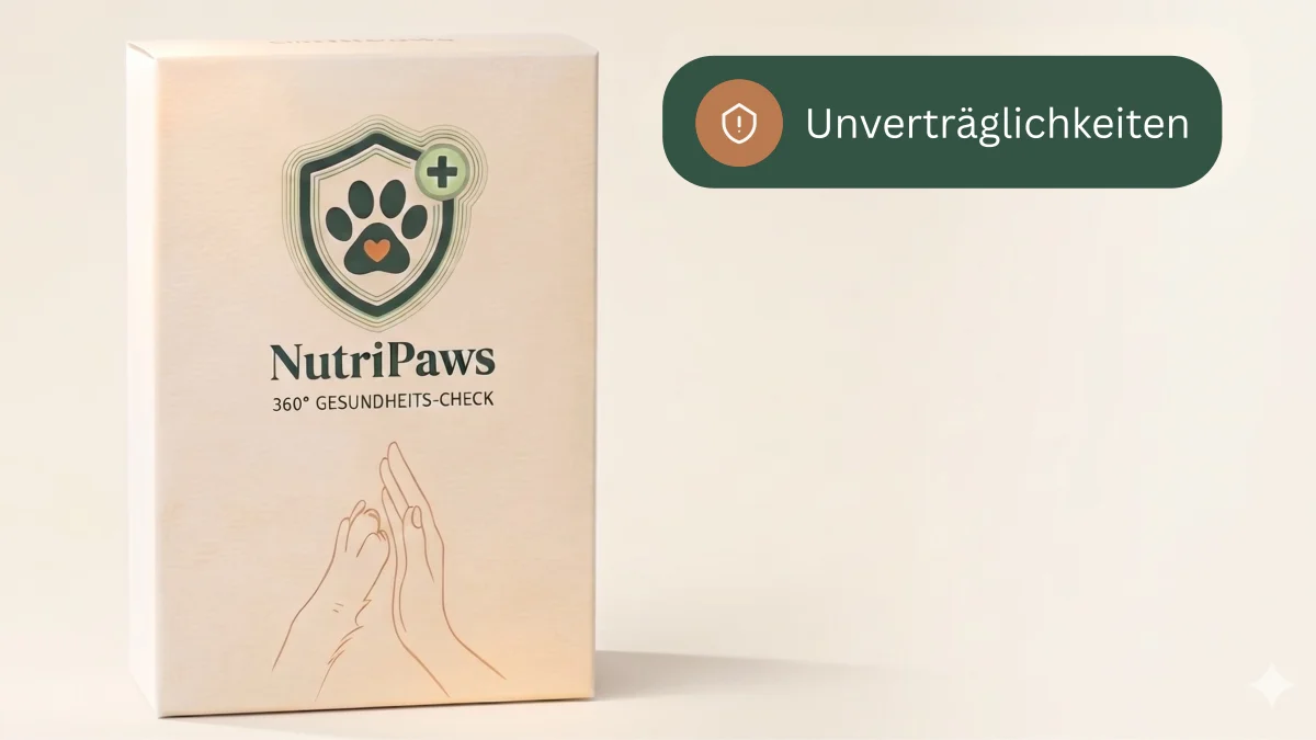 NutriPaws Einzel Check Verpackung - Haaranalyse für Haustiere mit Unverträglichkeitstest