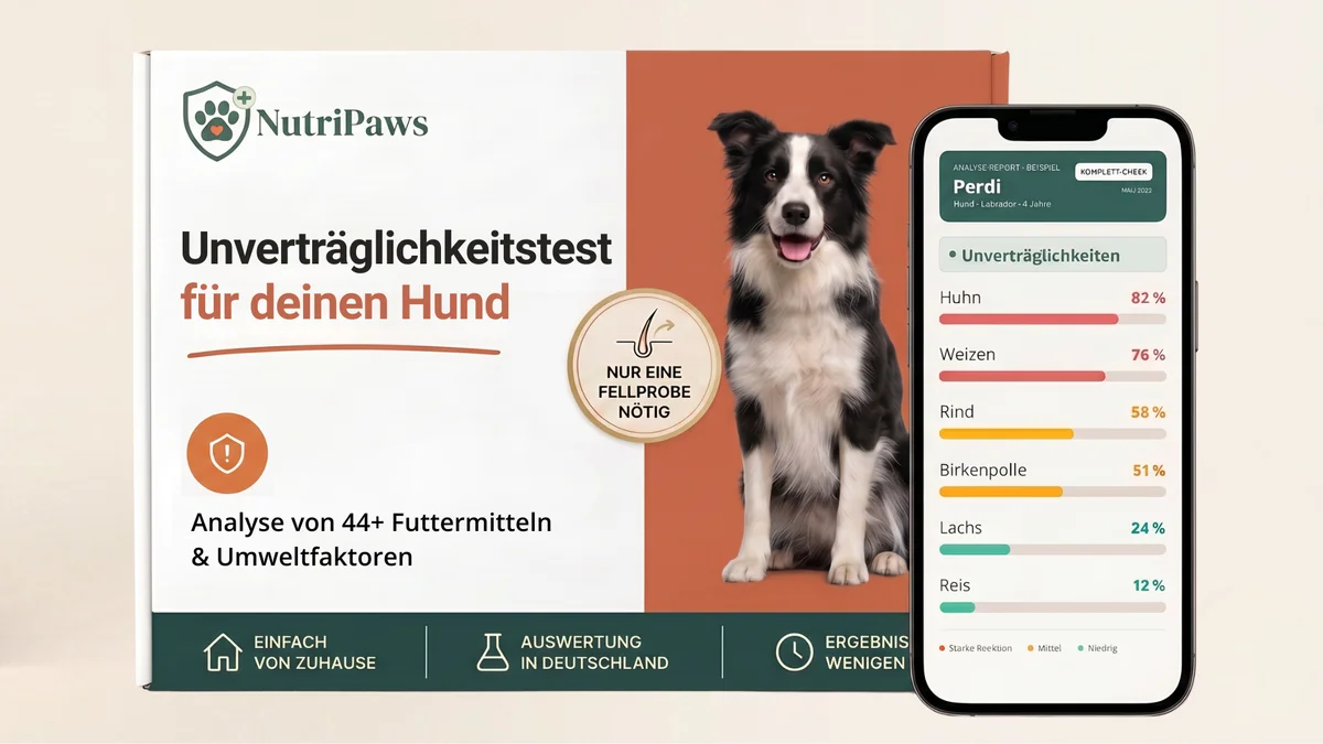 NutriPaws Einzel Check Verpackung mit Hund - Haaranalyse für Haustiere mit Unverträglichkeitstest