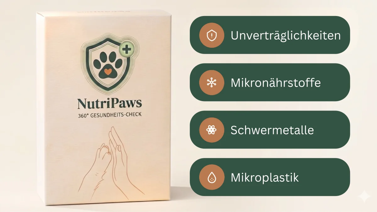 NutriPaws Komplett Check Verpackung - Haaranalyse für Haustiere: Unverträglichkeiten, Mikronährstoffe, Schwermetalle, Mikroplastik
