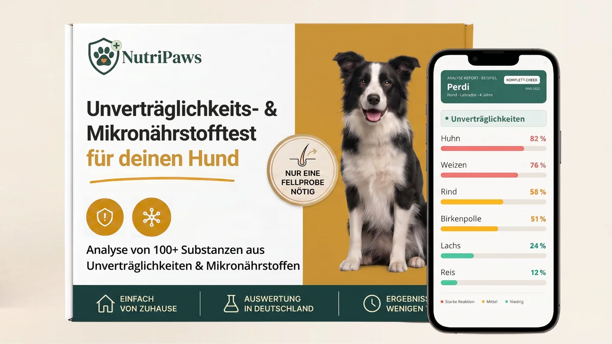 NutriPaws Pro Check Verpackung mit Hund - Haaranalyse für Haustiere mit Unverträglichkeits- und Mikronährstofftest
